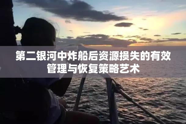 第二银河中炸船后资源损失的有效管理与恢复策略艺术