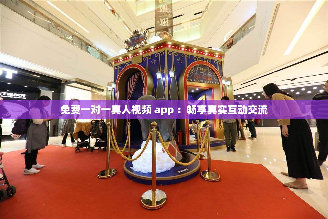 免费一对一真人视频 app ：畅享真实互动交流