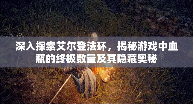 深入探索艾尔登法环，揭秘游戏中血瓶的终极数量及其隐藏奥秘