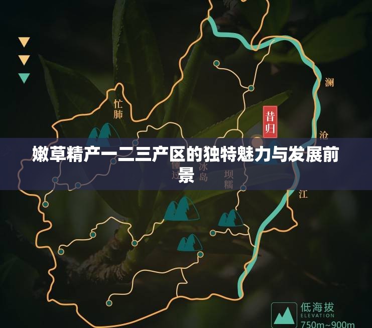 嫩草精产一二三产区的独特魅力与发展前景