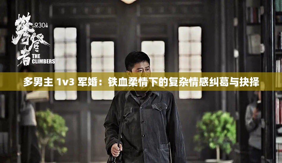 多男主 1v3 军婚：铁血柔情下的复杂情感纠葛与抉择