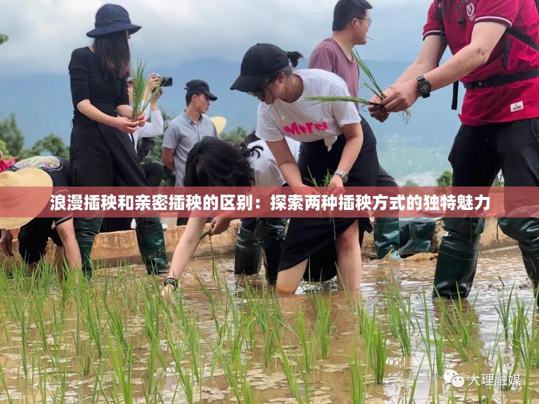浪漫插秧和亲密插秧的区别：探索两种插秧方式的独特魅力