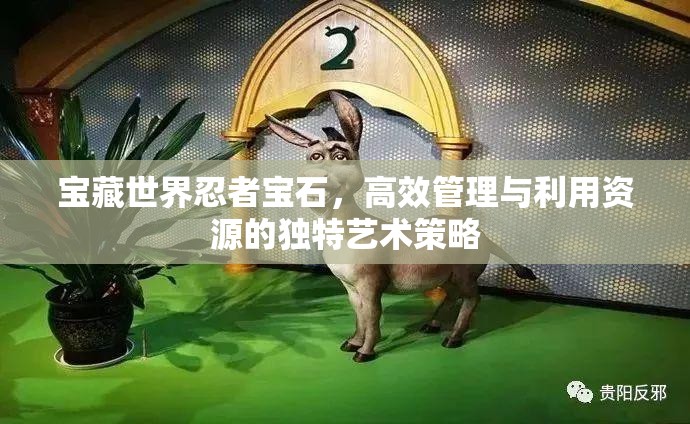 宝藏世界忍者宝石，高效管理与利用资源的独特艺术策略