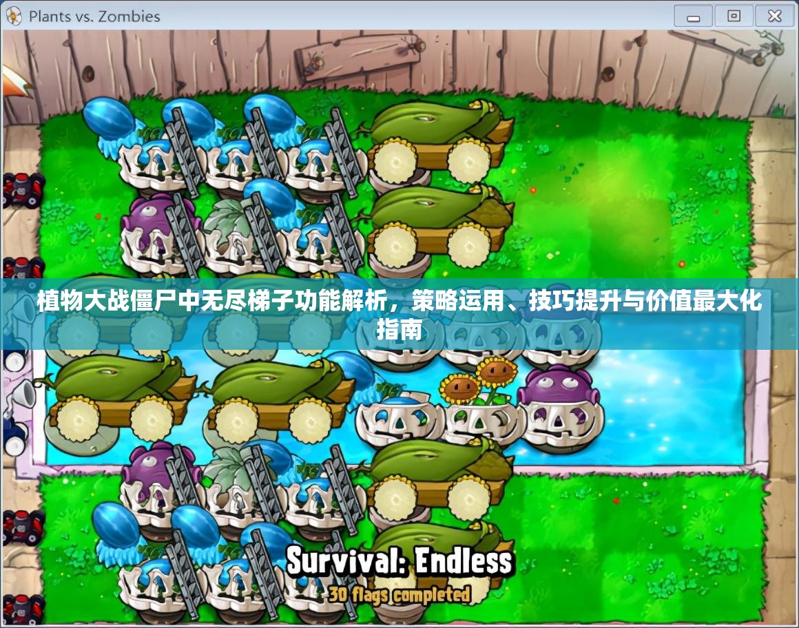 植物大战僵尸中无尽梯子功能解析，策略运用、技巧提升与价值最大化指南