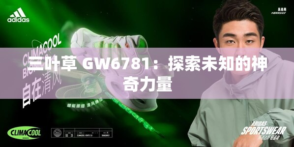 三叶草 GW6781：探索未知的神奇力量