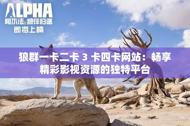 狼群一卡二卡 3 卡四卡网站：畅享精彩影视资源的独特平台