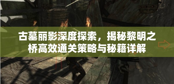 古墓丽影深度探索，揭秘黎明之桥高效通关策略与秘籍详解