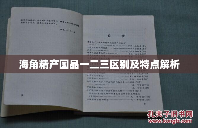 海角精产国品一二三区别及特点解析