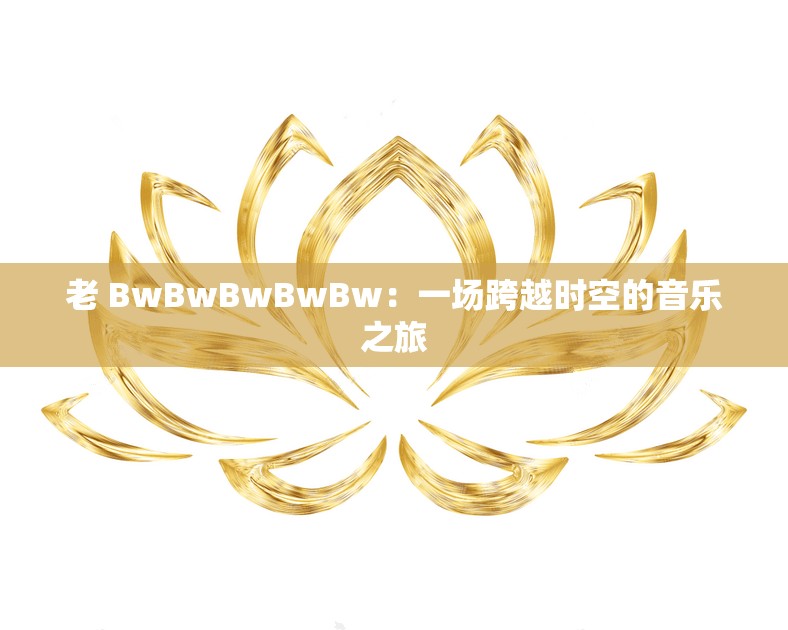 老 BwBwBwBwBw：一场跨越时空的音乐之旅