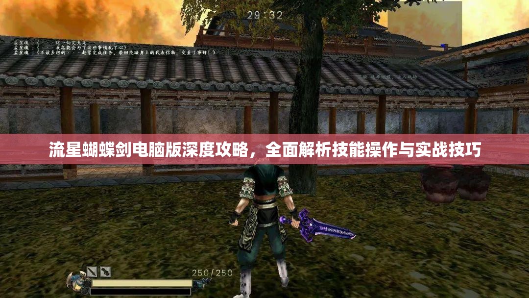 流星蝴蝶剑电脑版深度攻略，全面解析技能操作与实战技巧