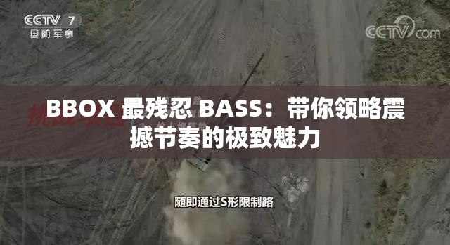 BBOX 最残忍 BASS：带你领略震撼节奏的极致魅力