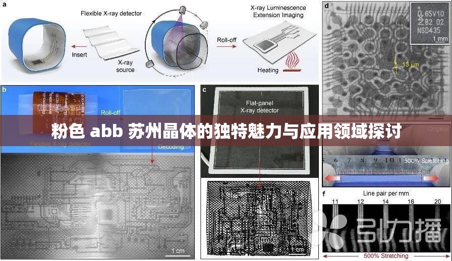 粉色 abb 苏州晶体的独特魅力与应用领域探讨