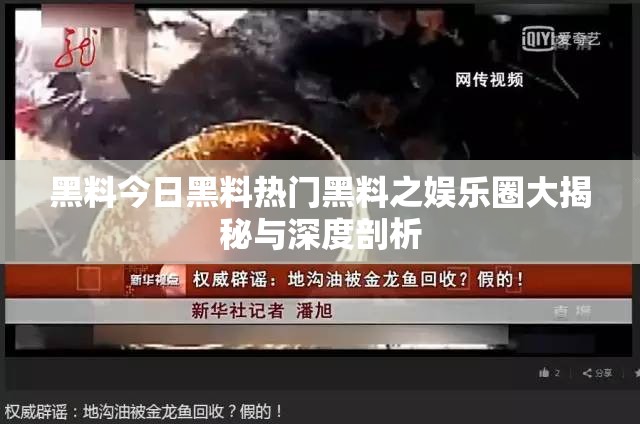 黑料今日黑料热门黑料之娱乐圈大揭秘与深度剖析