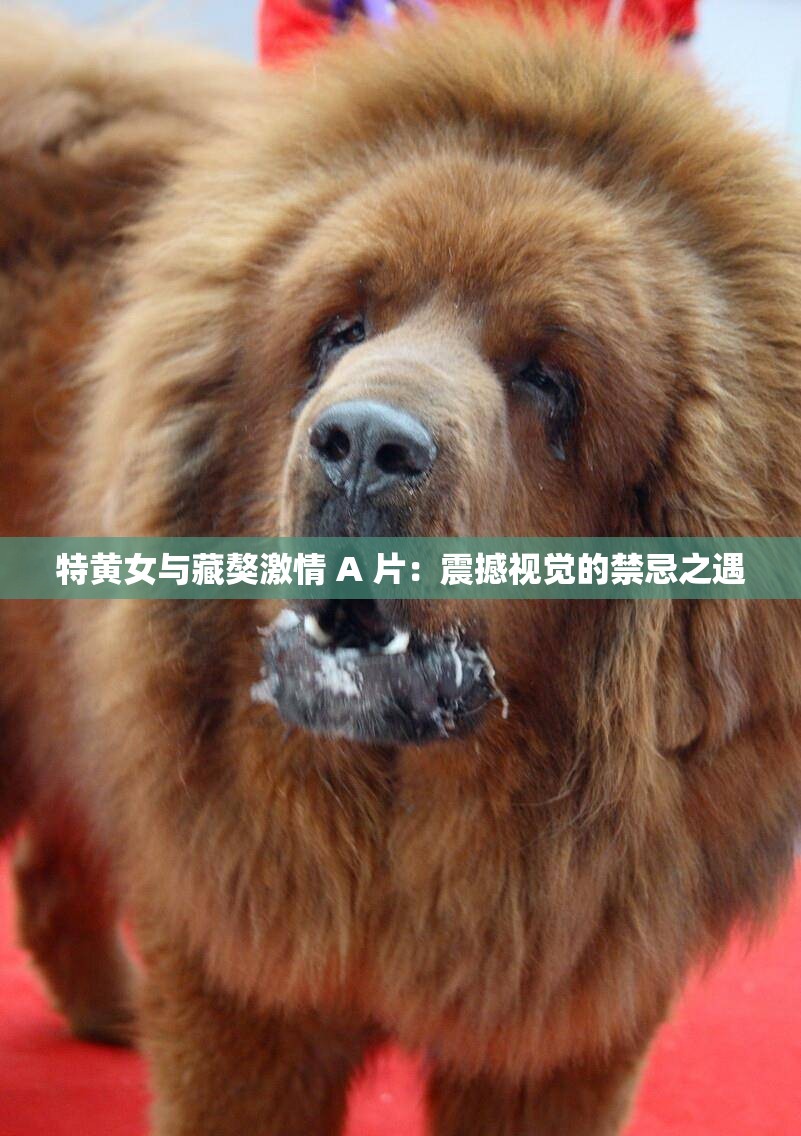 特黄女与藏獒激情 A 片：震撼视觉的禁忌之遇