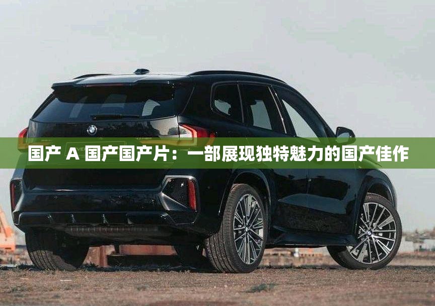 国产 A 国产国产片：一部展现独特魅力的国产佳作
