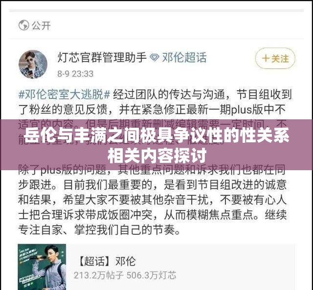 岳伦与丰满之间极具争议性的性关系相关内容探讨