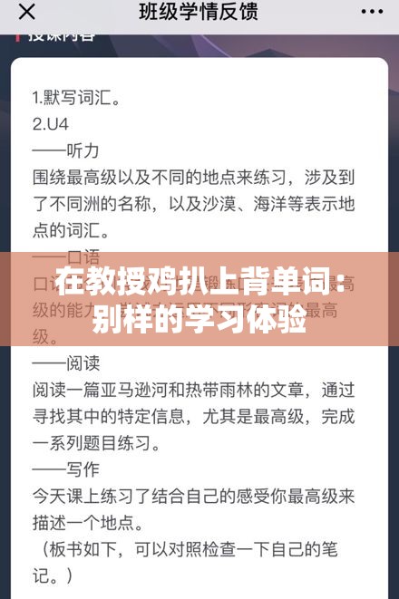 在教授鸡扒上背单词：别样的学习体验