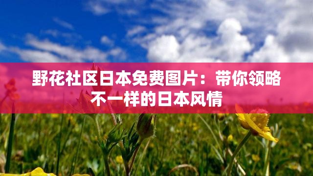 野花社区日本免费图片：带你领略不一样的日本风情