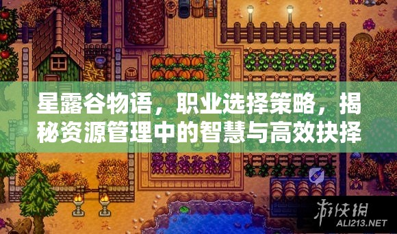 星露谷物语，职业选择策略，揭秘资源管理中的智慧与高效抉择