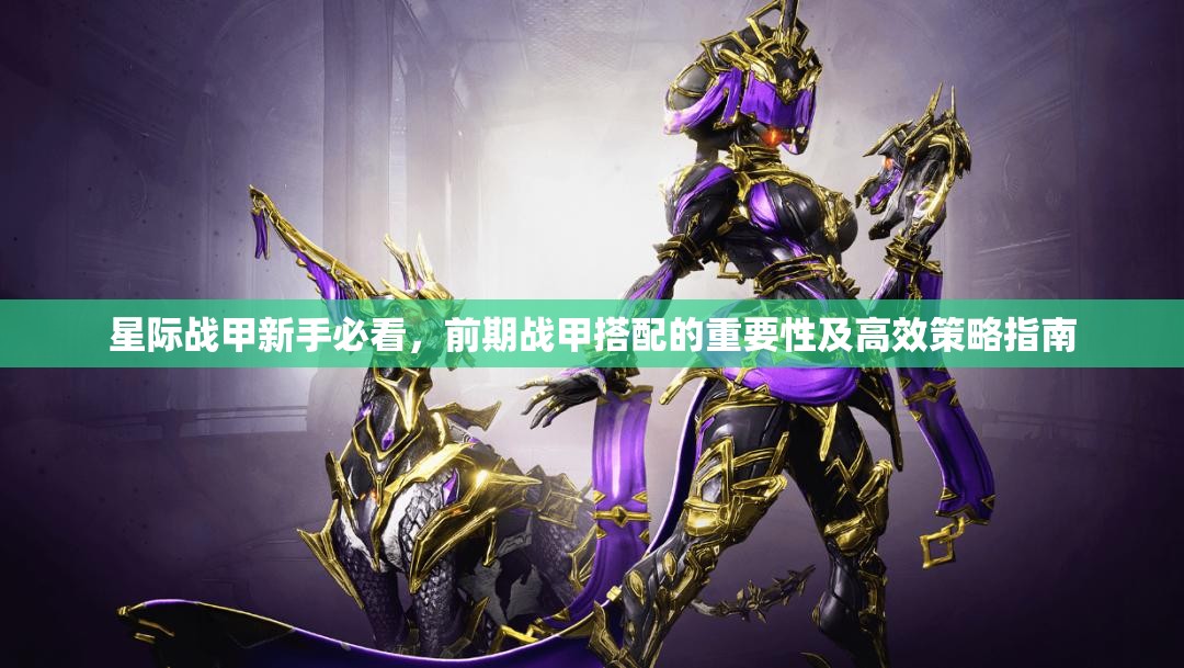 星际战甲新手必看，前期战甲搭配的重要性及高效策略指南
