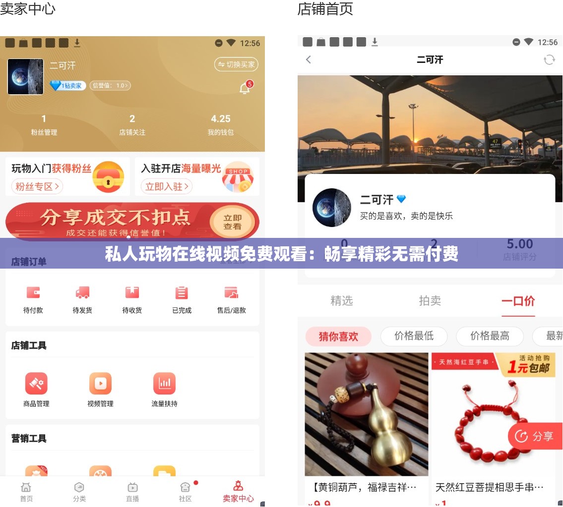 私人玩物在线视频免费观看：畅享精彩无需付费