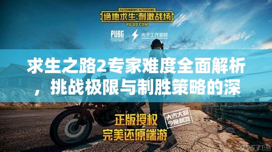 求生之路2专家难度全面解析，挑战极限与制胜策略的深度探索