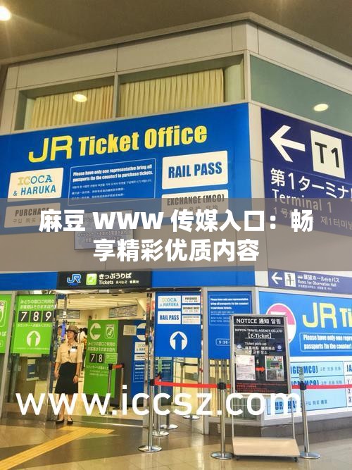 麻豆 WWW 传媒入口：畅享精彩优质内容