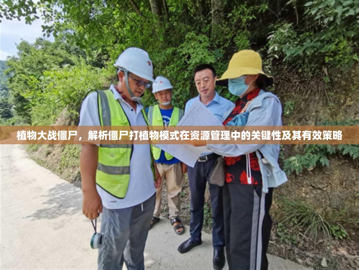 植物大战僵尸，解析僵尸打植物模式在资源管理中的关键性及其有效策略