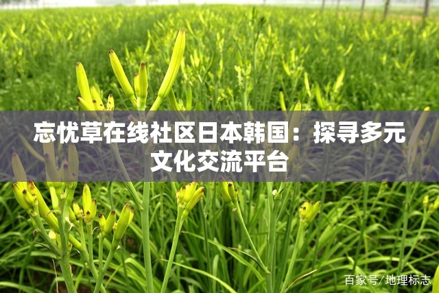忘忧草在线社区日本韩国：探寻多元文化交流平台