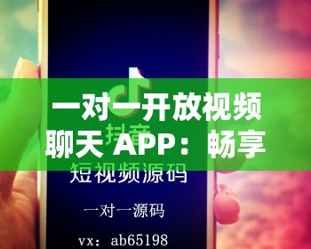 一对一开放视频聊天 APP：畅享私密互动时光