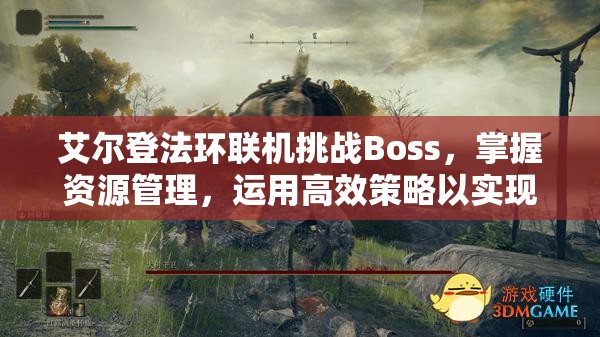 艾尔登法环联机挑战Boss，掌握资源管理，运用高效策略以实现价值最大化