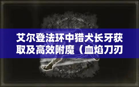 艾尔登法环中猎犬长牙获取及高效附魔（血焰刀刃等）全攻略