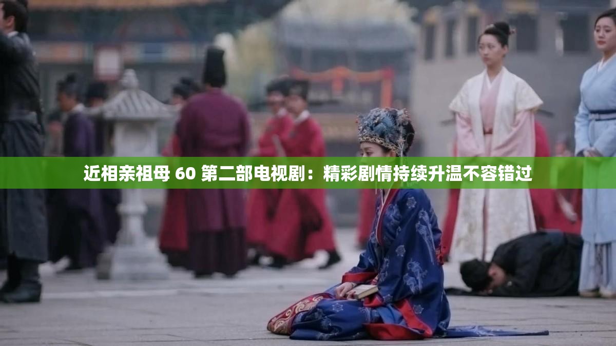 近相亲祖母 60 第二部电视剧：精彩剧情持续升温不容错过
