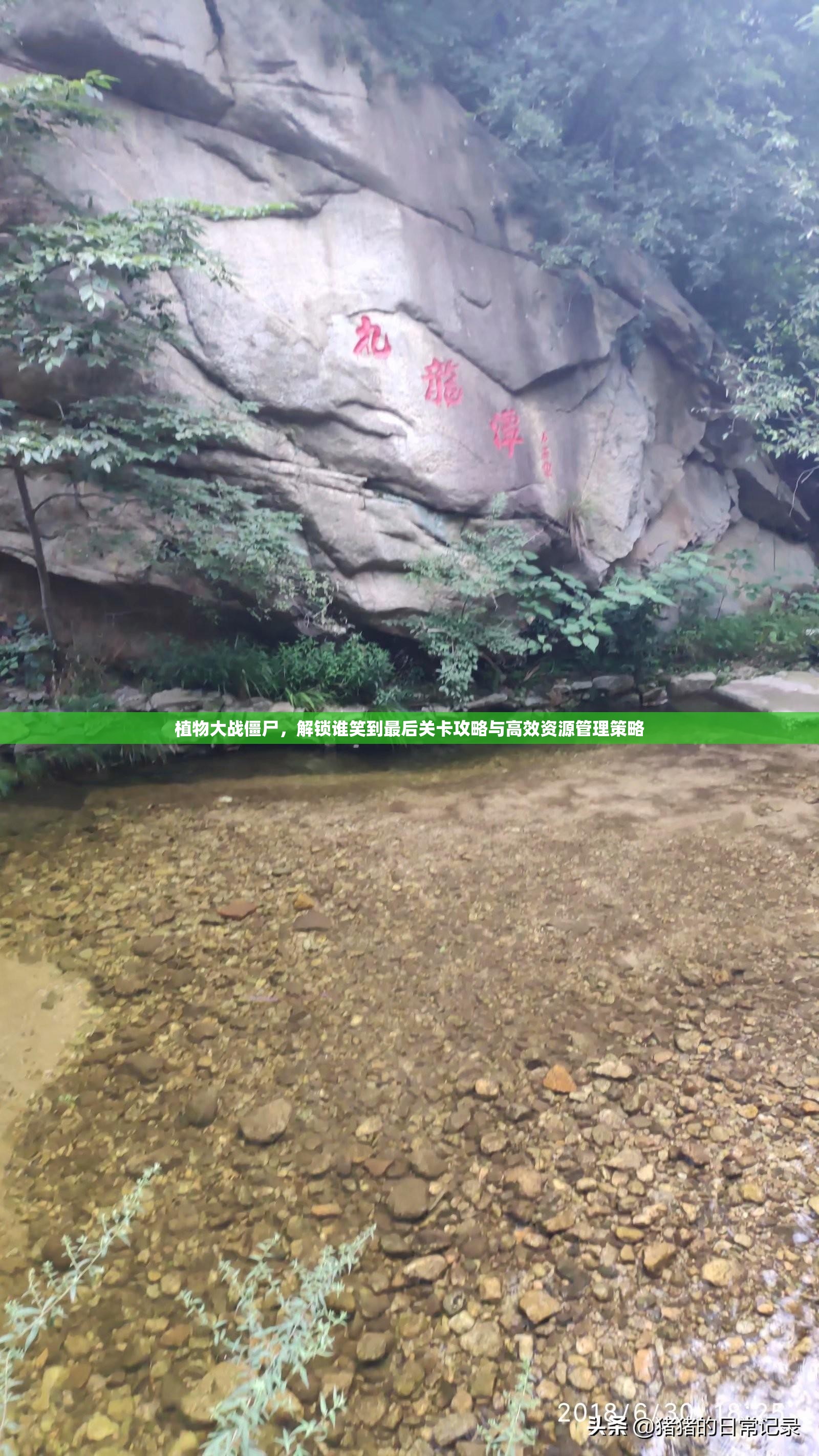 植物大战僵尸，解锁谁笑到最后关卡攻略与高效资源管理策略