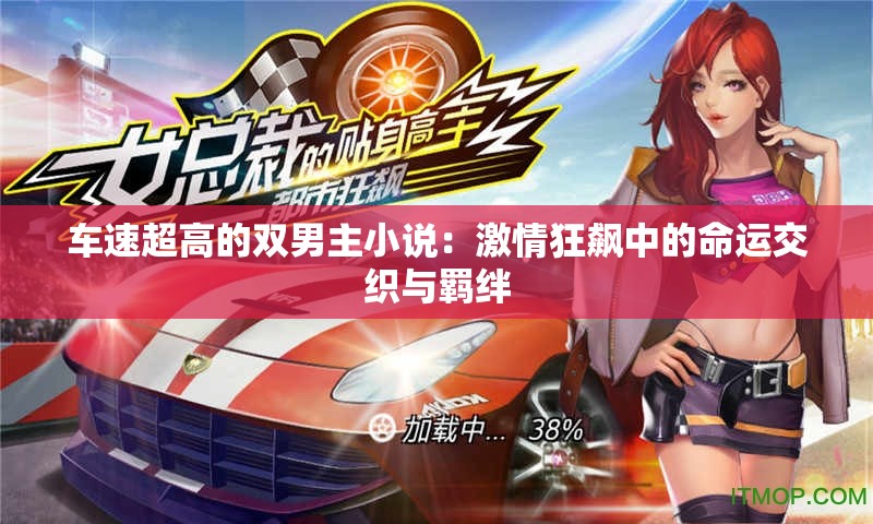 车速超高的双男主小说：激情狂飙中的命运交织与羁绊