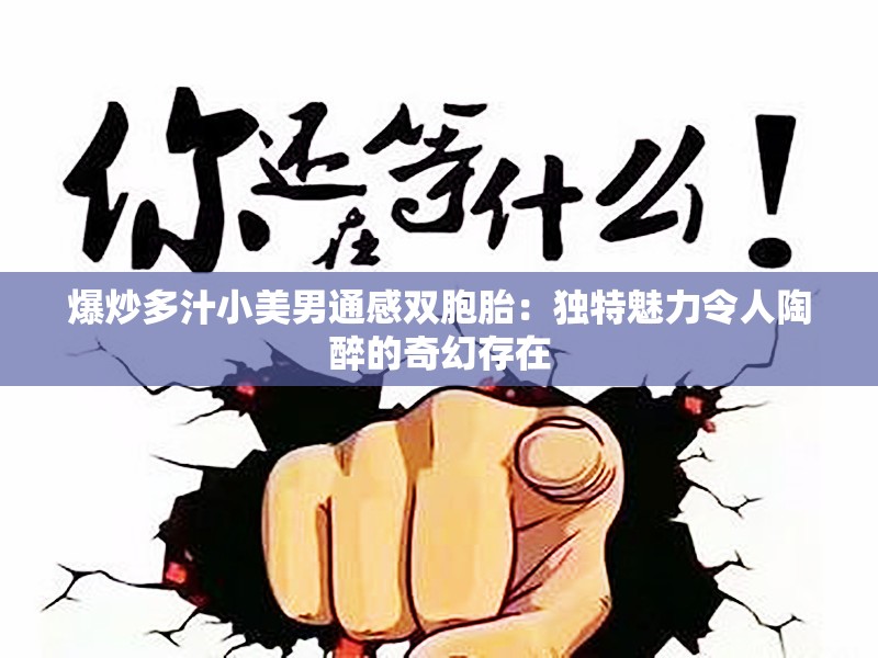 爆炒多汁小美男通感双胞胎：独特魅力令人陶醉的奇幻存在