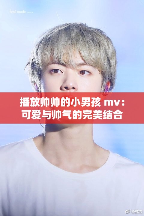 播放帅帅的小男孩 mv：可爱与帅气的完美结合