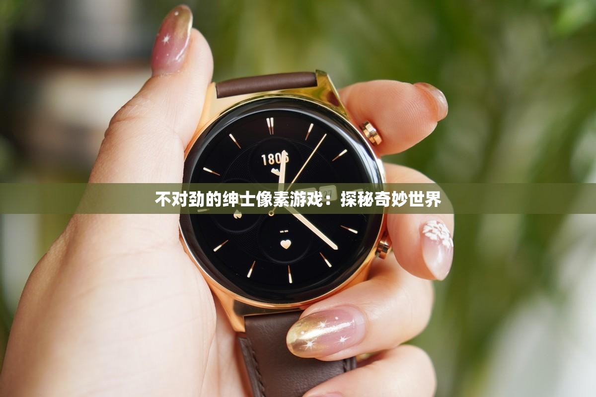 不对劲的绅士像素游戏：探秘奇妙世界