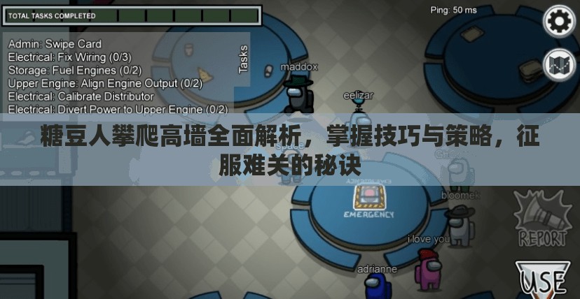 糖豆人攀爬高墙全面解析，掌握技巧与策略，征服难关的秘诀