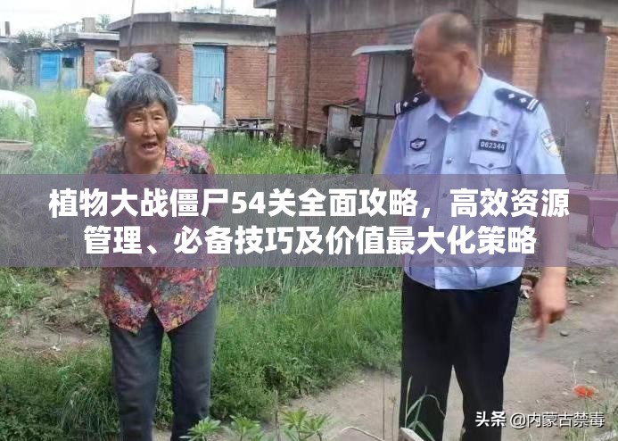 植物大战僵尸54关全面攻略，高效资源管理、必备技巧及价值最大化策略