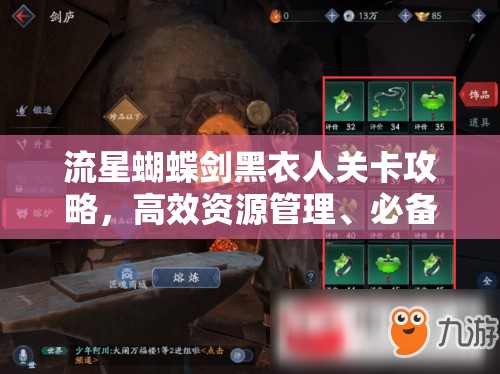 流星蝴蝶剑黑衣人关卡攻略，高效资源管理、必备技巧与制胜策略详解