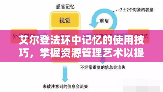 艾尔登法环中记忆的使用技巧，掌握资源管理艺术以提升游戏效能