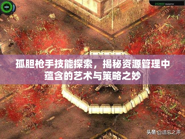 孤胆枪手技能探索，揭秘资源管理中蕴含的艺术与策略之妙