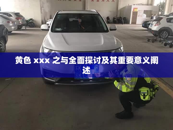 黄色 xxx 之与全面探讨及其重要意义阐述