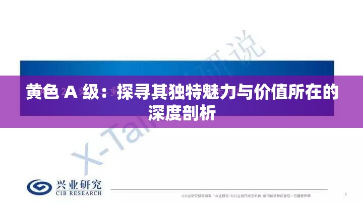 黄色 A 级：探寻其独特魅力与价值所在的深度剖析