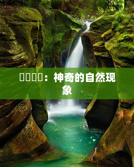 氺茤茤茤：神奇的自然现象