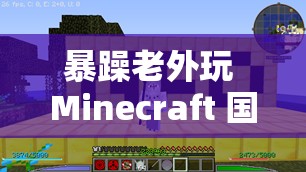 暴躁老外玩 Minecraft 国际版：游戏中的疯狂与挑战
