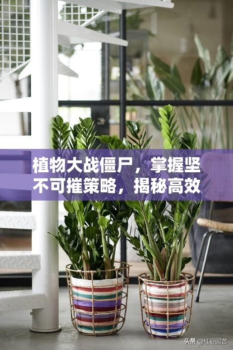 植物大战僵尸，掌握坚不可摧策略，揭秘高效刷金币的顶级秘籍