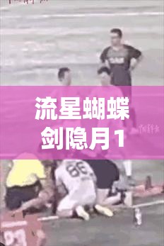 流星蝴蝶剑隐月14层全面攻略，高效资源管理、必备技巧与避免资源浪费策略