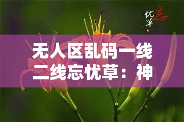 无人区乱码一线二线忘忧草：神秘而独特的存在令人好奇探索